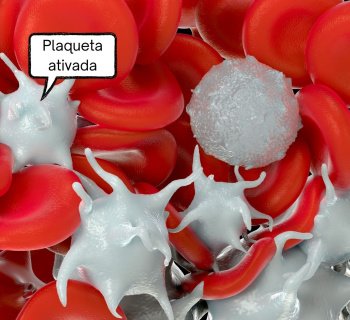 Plaquetas e Inflamação: Guia Completo para Médicos