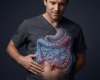 FODMAPs e sintomas intestinais: o que você precisa saber