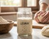 A Verdade Sobre o Pão de Longa Fermentação: Como Escolher