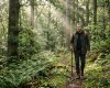 Natureza e Saúde Mental: 5 Revelações da Ciência