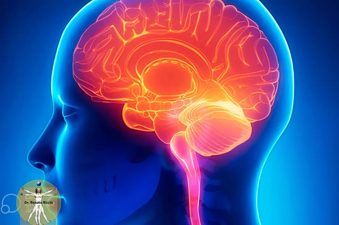 Ataxia por Glúten: Desvendando Diagnósticos e Tratamentos do Problema